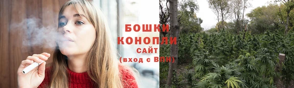 гидра Дмитровск