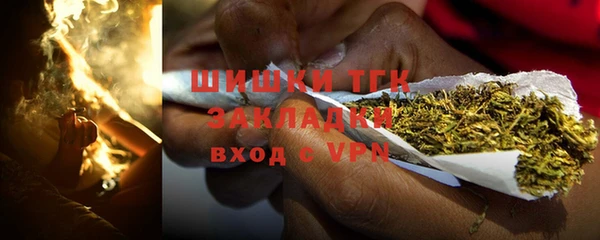 не бодяженный Гусев