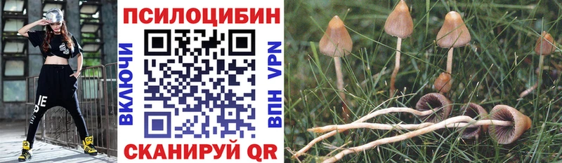 Псилоцибиновые грибы MAGIC MUSHROOMS  Купить закладки  Ртищево 